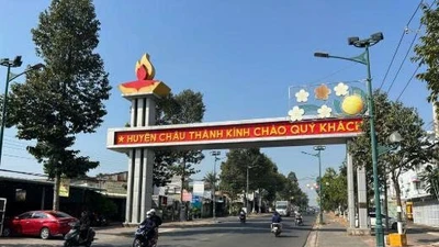 Công ty Vũ Hoan trúng gói thầu 58 tỷ: Vì sao chỉ "một mình một ngựa"?