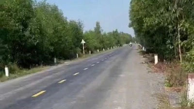 Dấu ấn Giao thông Nam Bộ tại các gói thầu xây lắp phía Nam
