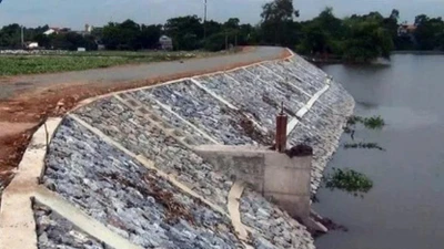 Dấu hỏi năng lực Công ty Ba Vũ tại dự án Cải tạo bờ kè sông Long Bình 