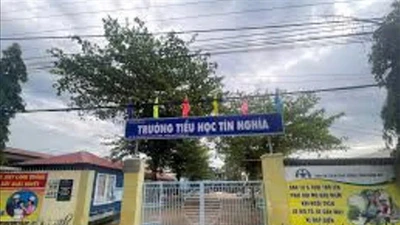 Đồng Nai: Liên danh tiểu học Tín Nghĩa 'một mình một ngựa' tại gói thầu hơn 51 tỷ