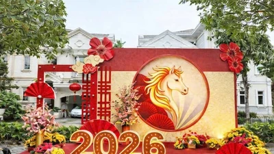 Khánh Hòa: Nhà thầu Đô thị Ninh Hòa thâu tóm các gói thầu trang trí tết?