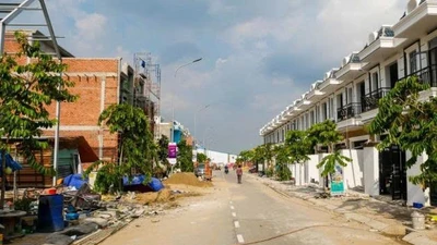 Công ty Đô Thị Việt: Tỷ lệ trúng thầu 100% và những "cú sẩy chân" của đối thủ
