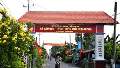 Hé lộ hành trình trúng thầu của Công ty Quang Minh tại Cần Thơ