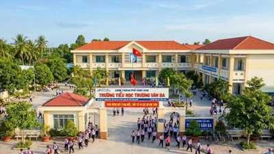 Cuộc đua tam mã tại xã An Bình: Đối thủ trượt thầu vì giá, Công ty Kim Bửu khẳng định vị thế