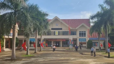 Đắk Lắk: Giải mã hiện tượng nhà thầu AHA trúng thầu sát nút, vắng bóng đối thủ 