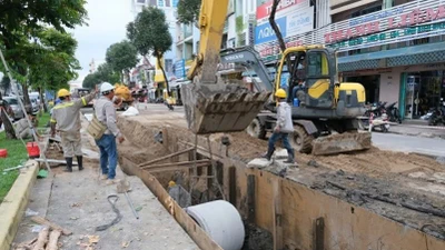 "Soi" năng lực nhà thầu Tân Gia Linh: "Bách chiến bách thắng" tại các gói thầu công ở TP HCM?