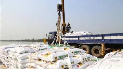 Gói thầu 6 tỷ đồng tại Phân bón Bình Điền: Nhà thầu giá cao nhất trúng thầu