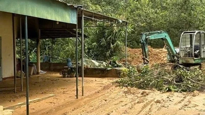 Gói thầu tại Trường Tiểu học Quang Trung (Lâm Đồng): Liên danh Công ty Cao Đại Minh trúng ra sao?