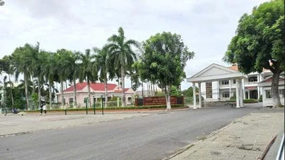 Đấu thầu tại Đồng Tháp: Cuộc đua 'một mình một ngựa' của Công ty Diễm Tường? 