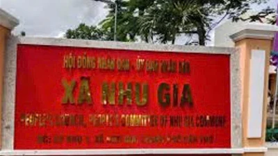 Đấu thầu tại Cần Thơ: Lộ diện nhà thầu dự gói thầu giao thông hơn 3 tỷ đồng 