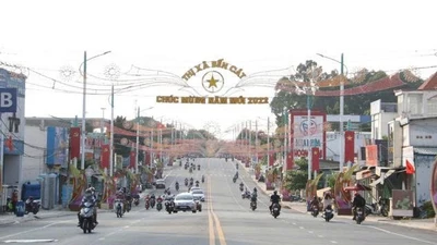 Đấu thầu ở phường Tây Nam (TP HCM): Giá thấp nhất vẫn trượt thầu 