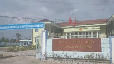 Cà Mau: Liên danh Kiều Vy và Nam Việt trúng gói thầu hơn 2,6 tỷ tại xã Quách Phẩm