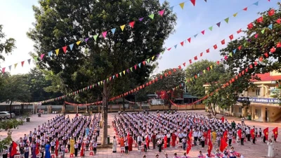 Cận cảnh cuộc đua 10 nhà thầu tại Thốt Nốt: Vì sao 9 doanh nghiệp bị loại "từ vòng gửi xe"?