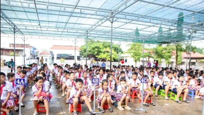 Đấu thầu qua mạng tại Cần Thơ: Khi "cuộc chạy đua về giá" tạo ra giá trị thực