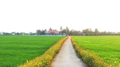 Đấu thầu ở xã Lâm Sơn: Vì sao chỉ định thầu, không tiết kiệm?