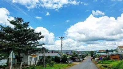 Đấu thầu tại Lâm Đồng: Liên danh An Phú Bảo - Tú Thọ Lộc trúng gói sửa đường 10,6 tỷ của Sở Xây dựng? 