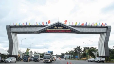 Tây Ninh: Công ty Giao thông Phương Trinh và những gói thầu tiết kiệm thấp