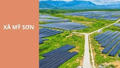 Khánh Hòa: Giải mã cuộc thầu xây cầu Phú Thuận và cú "trượt chân" của những nhà thầu giá rẻ