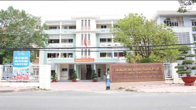 Dấu ấn Công ty Tuấn Cường Long An tại dự án kênh T5B: Trúng thầu sát giá 