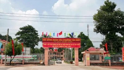 Gói thầu 16 tỷ ở Tân Hiệp (TP.HCM): Vì sao liên danh quen thuộc trúng dù bỏ giá cao?