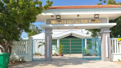 Xã Tuy Phong được thành lập dựa trên việc sáp nhập toàn bộ diện tích, dân số của xã Phan Dũng và một phần của xã Phong Phú (trước 7/2025, hai xã này thuộc huyện Tuy Phong, tỉnh Bình Thuận).