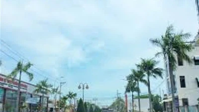 TP HCM: Công ty Đông Khánh trúng thầu gói thầu xây lắp với tỷ lệ tiết kiệm cao