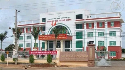 Gói thầu 25 tỷ tại Cao su Phú Riềng: "Một mình một ngựa", tiết kiệm 0,2%