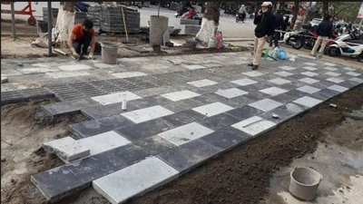 Đấu thầu ở Đồng Tháp: "Bí ẩn" tiêu chí kỹ thuật loại 2 nhà thầu 