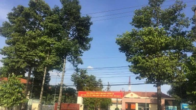 Dấu hỏi về tính cạnh tranh tại gói thầu Công ty Thái Bình Dương trúng sát giá ở TP HCM 