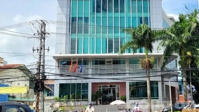 Sức nóng đầu tư công tại Gia Lai: Công ty Kim Tiền "hạ" đối thủ nhờ chiến lược giá tối ưu tại dự án lưới điện năm 2026 