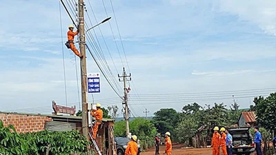 Gia Lai: Doanh nghiệp trúng thầu sát nút gói lưới điện Đăk Đoa, tiết kiệm hơn 8%