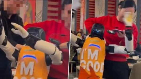 Video lan truyền nhanh chóng tạo ra nhiều ý kiến trái chiều, từ hài hước cho đến lo ngại về rủi ro tiềm ẩn.