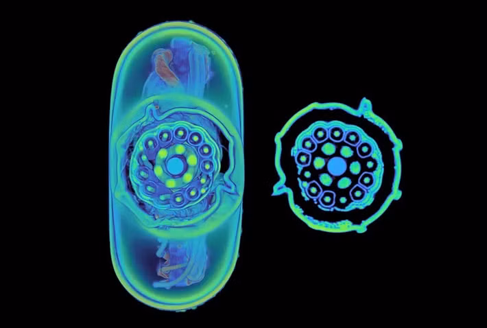 Sợi cáp này thực chất là một thiết bị điện tử thu nhỏ chứ không chỉ là dây sạc thông thường.