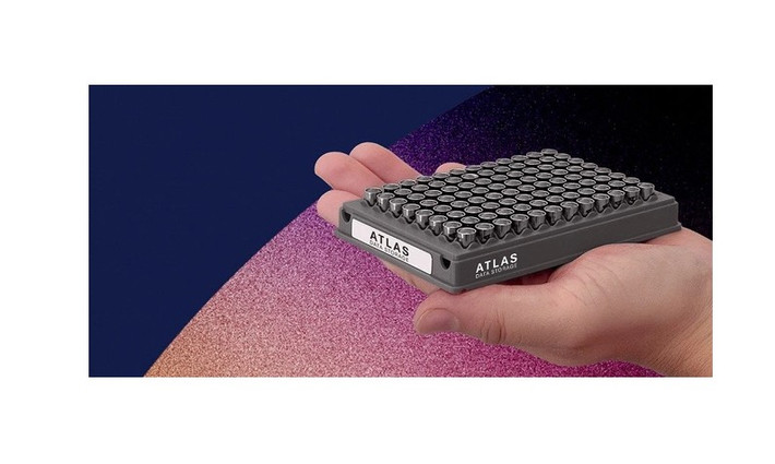 DNA tổng hợp được khử nước, cho phép bảo quản hàng nghìn năm mà không cần năng lượng.