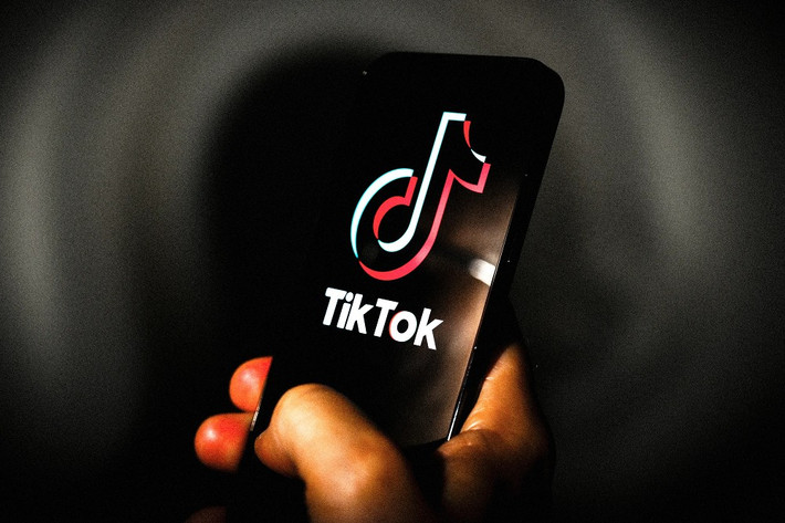 Theo Forbes, một chiến dịch lừa đảo mới đang tấn công người dùng TikTok thông qua tin nhắn trực tiếp.
