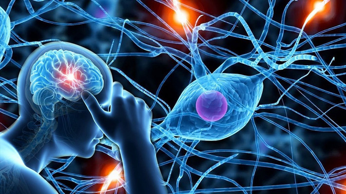 Phát hiện này dung hòa hai giả thuyết từng đối lập trong suốt 50 năm về cách não bộ truyền tín hiệu.