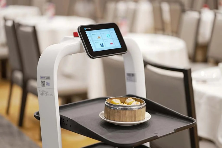 Năm 2017, Pudu tung ra PuduBot – robot đầu tiên trong ngành có khả năng mang nhiều khay thức ăn cùng lúc, nhanh chóng tạo tiếng vang.