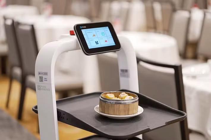 Năm 2017, Pudu tung ra PuduBot – robot đầu tiên trong ngành có khả năng mang nhiều khay thức ăn cùng lúc, nhanh chóng tạo tiếng vang.