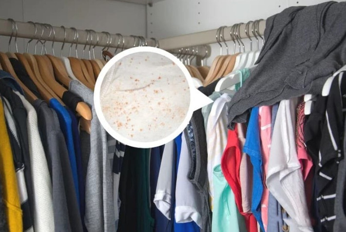 Nguyên nhân là máy chỉ xử lý không khí đi qua nó, bỏ sót các “vùng chết” như tủ đồ hay góc phòng kín.