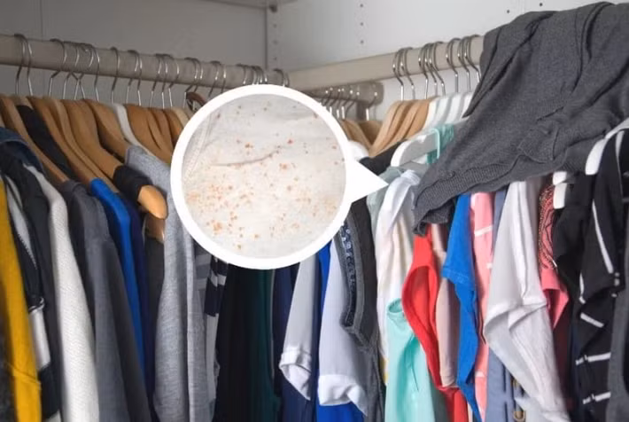 Nguyên nhân là máy chỉ xử lý không khí đi qua nó, bỏ sót các “vùng chết” như tủ đồ hay góc phòng kín.