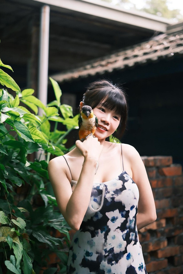 Nhiều người còn ngưỡng mộ sự kiên nhẫn và tình yêu động vật khi nuôi chim vẹt vốn không hề đơn giản.