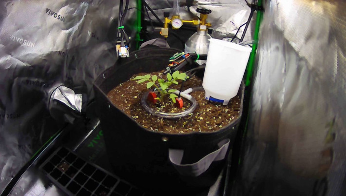 Thử nghiệm cho thấy AI có tiềm năng tối ưu trong thế giới thực, nhưng vẫn phụ thuộc lớn vào cảm biến và những giới hạn sinh học khó số hóa.