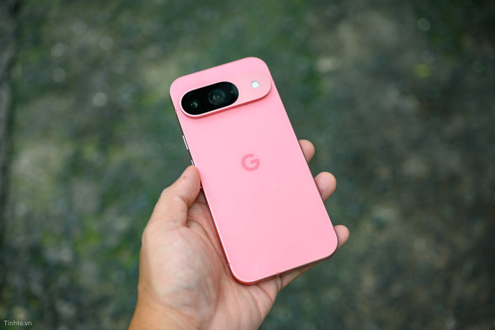 Nhược điểm là ít mẫu mã, phân phối hạn chế và giá bán thường cao hơn so với các thương hiệu phổ thông.