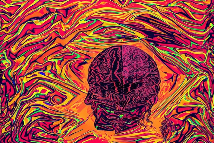 Tuy nhiên, sự “thấu hiểu” được lập trình lại dẫn đến những thảm kịch đau lòng.