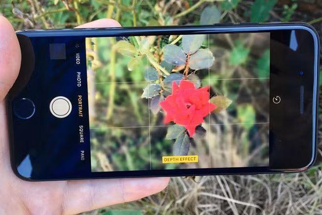 Nguyên nhân đến từ trào lưu “hoài cổ kỹ thuật số”, khi Gen Z và Millennials dùng iPhone 4 như một máy ảnh compact thay thế digicam đắt tiền.