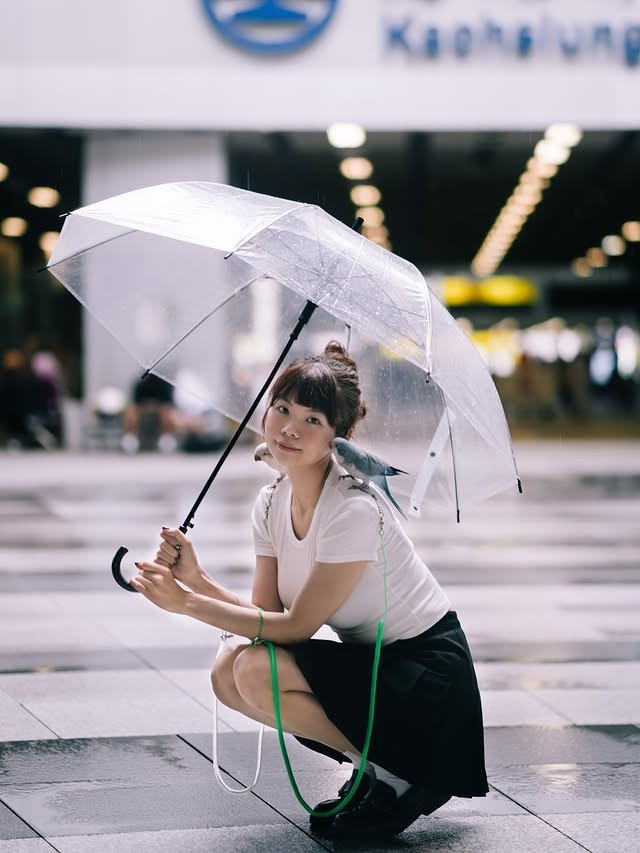 Không chỉ nuôi cho vui, zi_huang_ còn dành thời gian chăm sóc, huấn luyện và tương tác thân thiết với từng chú chim.