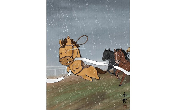 Bộ ảnh nhanh chóng viral từ Trung Quốc sang nhiều quốc gia, trong đó có Việt Nam.