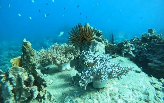 Sự suy giảm đa dạng sinh học đe dọa nguồn thực phẩm, nước sạch và khí hậu toàn cầu.