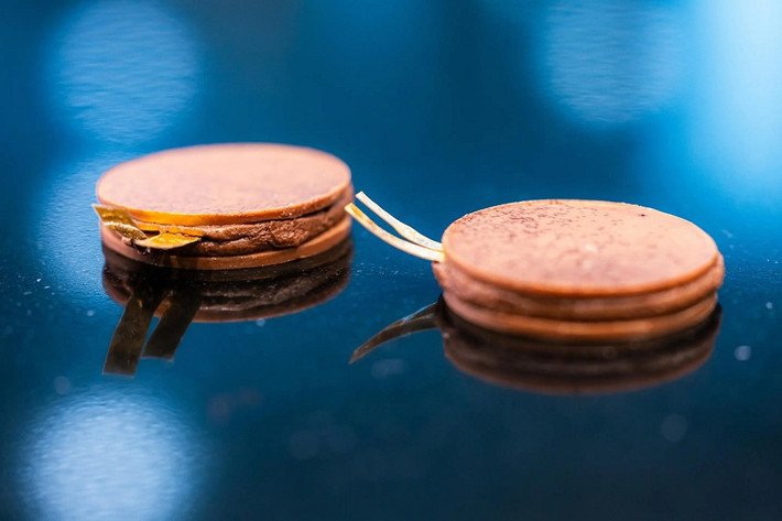 Dự án cũng thử nghiệm trên người với bộ truyền động mềm có hương vị trái cây để kiểm chứng an toàn.