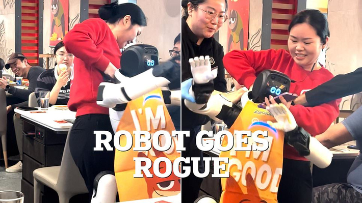 Robot vốn được lập trình để nhảy múa quảng bá cho phim “Zootopia 2” nhưng lại va vào bàn ăn, làm vỡ bát đĩa và đũa bay tứ tung.